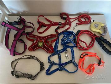 Guinzagli e pettorine cane cucciolo / taglia media