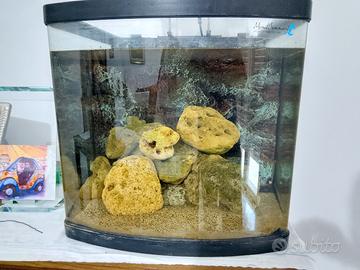 acquario