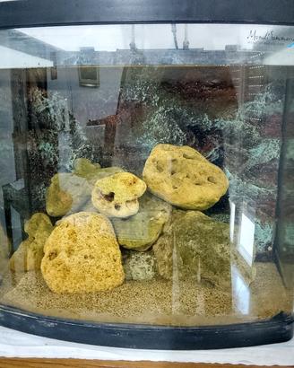 acquario