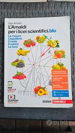 libro di fisica ISBN9788808253989 Amaldi 