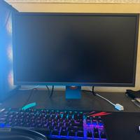 Monitor da gaming Benq zowie xl 2546 240 hz TN