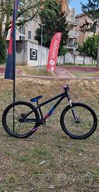 Bici dirt NS zircus