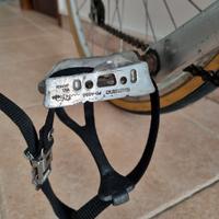 Bici vintage Legnano