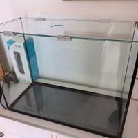 Acquario