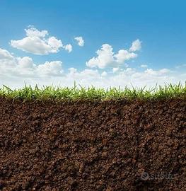 Terreno Buddusò 5 ettari