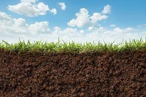 Terreno Buddusò 5 ettari