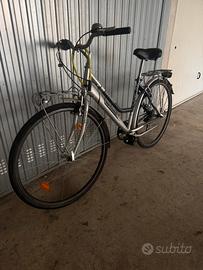 Bici pegasus