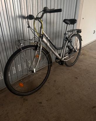 Bici pegasus