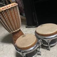 Strumenti percussioni djambe Bongo fiberskin remo
