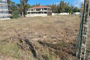 Vendita terreno edificabile