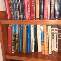 libri-enciclopedie-romanzi