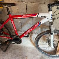 Torpado t582