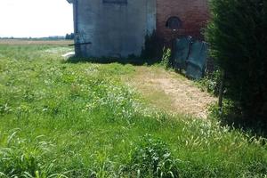 Magazzino deposito zona Argenta (FE)