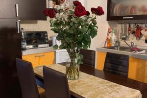 Grande bilocale ideale per coppie