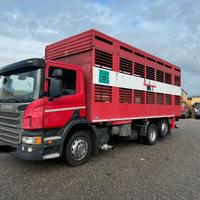 SCANIA P 320 TRASPORTO ANIMALE 3 ASSI 6X2