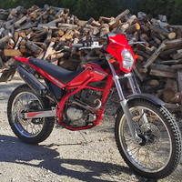 Moto beta alp 200