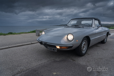 Alfa Romeo spider coda tronca