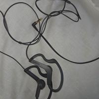 auricolari 