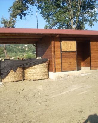 box cavallo con fienile in legno