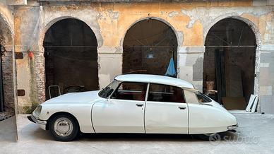 Citroen  ds " squalo"