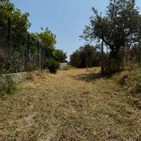 Terreno edificabile con progetto approvato