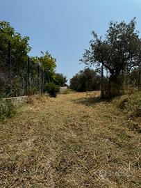 Terreno edificabile con progetto approvato