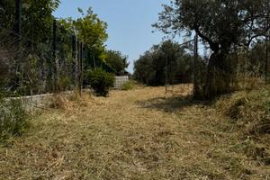 Terreno edificabile con progetto approvato