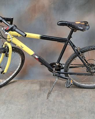 BICICLETTA MOUNTAIN BIKE FREJUS