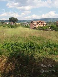 Splendido terreno a Quarto 1717mq