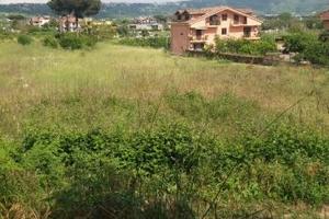 Splendido terreno a Quarto 1717mq
