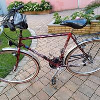 Bici city uomo