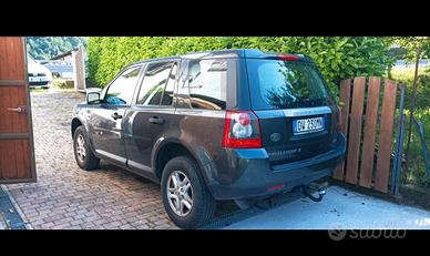 freelander 