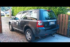 freelander 