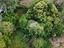 Immagine 24