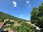 Immagine 19