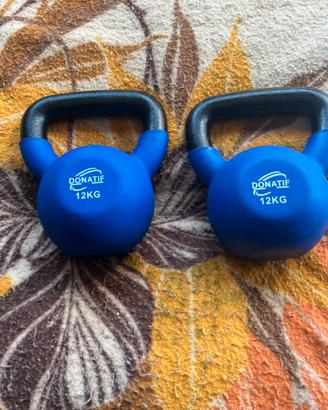Kettlebell 12kg (n2)