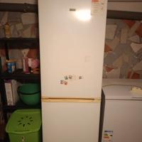 frigo kenex classe A