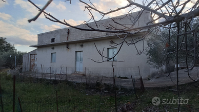 Fabbricato con frutteto e uliveto