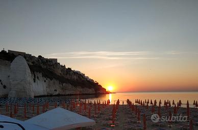 Bilo per 2 a 250 mt dal mare