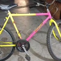 bicicletta Mountain bike
