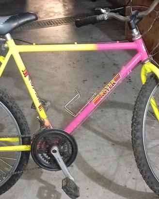 bicicletta Mountain bike