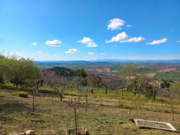 Monte conero - casale panoramico