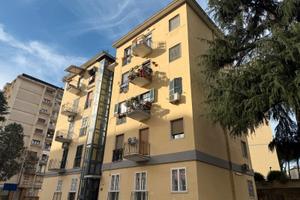 Colli aminei - trilocale piano alto