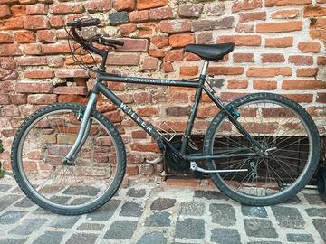 Bicicletta da fuoristrada a 21 velocità