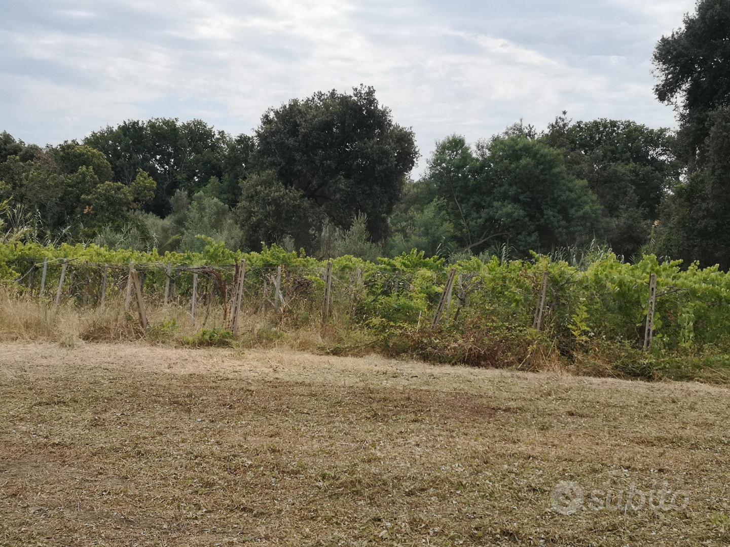 Terreno agricolo 15.000 mq Lanuvio - Altro