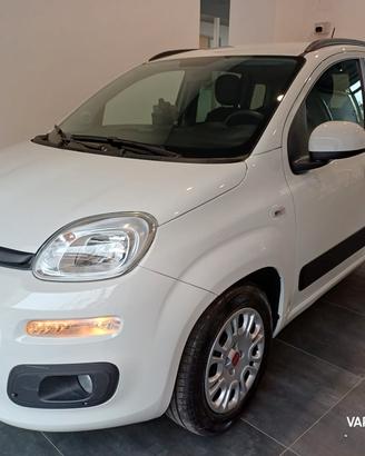 Fiat Panda 1.0 FireFly S&S Hybrid LIMITED EDITION