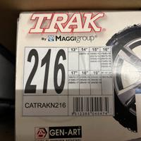 Catene da neve a ragno