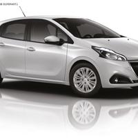 Ricambi per peugeot 208 2013/2019