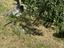 Immagine 25