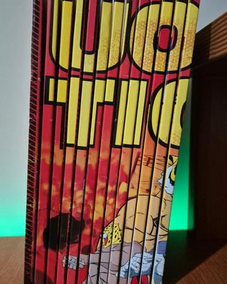 DVD L'uomo Tigre